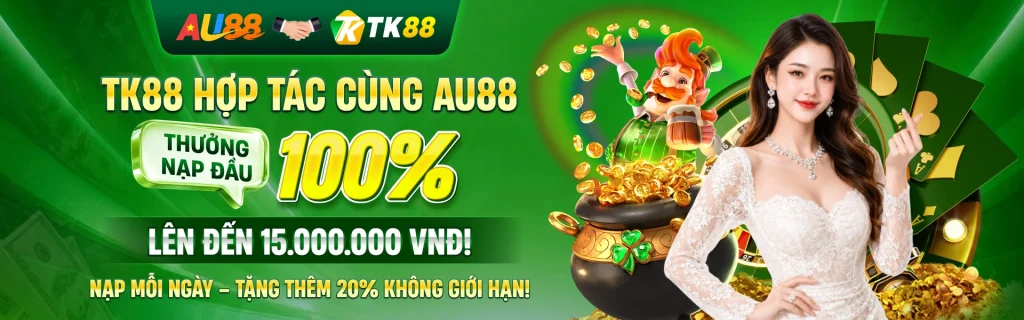 Baner TK88