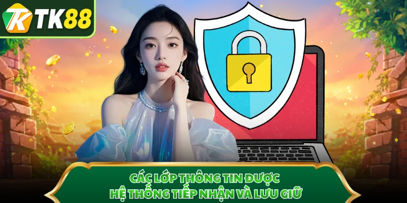 Các lớp thông tin được hệ thống tiếp nhận và lưu giữ
